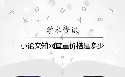 小论文知网查重价格是多少