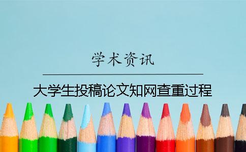 大学生投稿论文学术查重过程