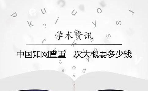 中国学术查重一次大概要多少钱？