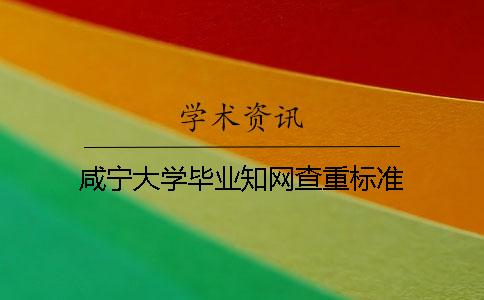 咸宁大学毕业学术查重标准