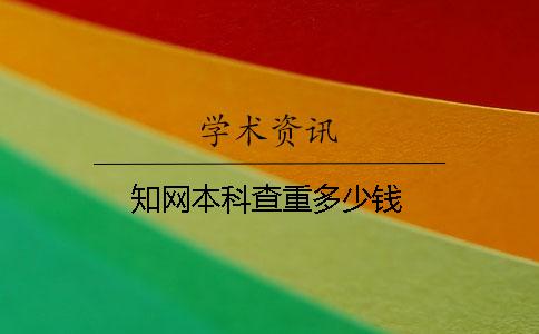 学术本科查重多少钱