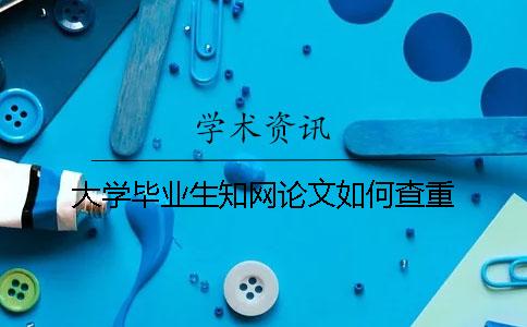 大学毕业生学术论文如何查重