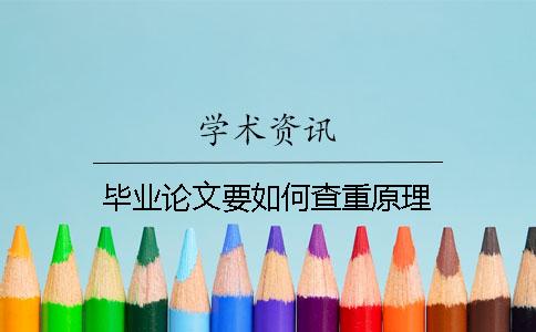 毕业论文要如何查重原理