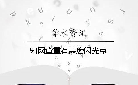 学术查重有甚麽闪光点